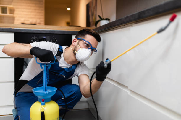 Best Flea Control Services  in Blackwells Mills, NJ