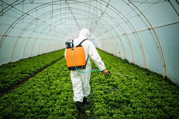 Best Pest Control Near Me  in Blackwells Mills, NJ