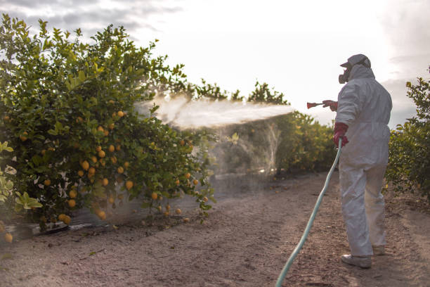 Best Emergency Pest Control  in Blackwells Mills, NJ