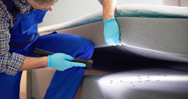 Best Pest Inspection Near Me  in Blackwells Mills, NJ