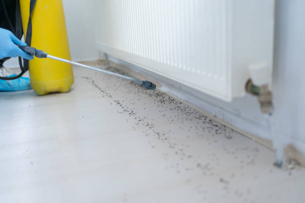 Best Pest Prevention Services  in Blackwells Mills, NJ